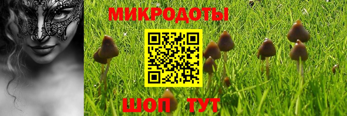 Псилоцибиновые грибы GOLDEN TEACHER  Вход с VPN  где найти наркотики  Псилоцибиновые грибы Psilocybe  Оренбург 